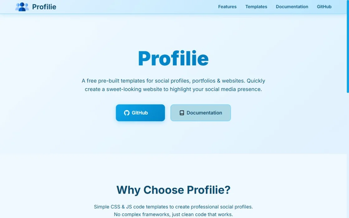 Profilie website homepage